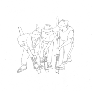 木製の道具で穴を掘る3人の男